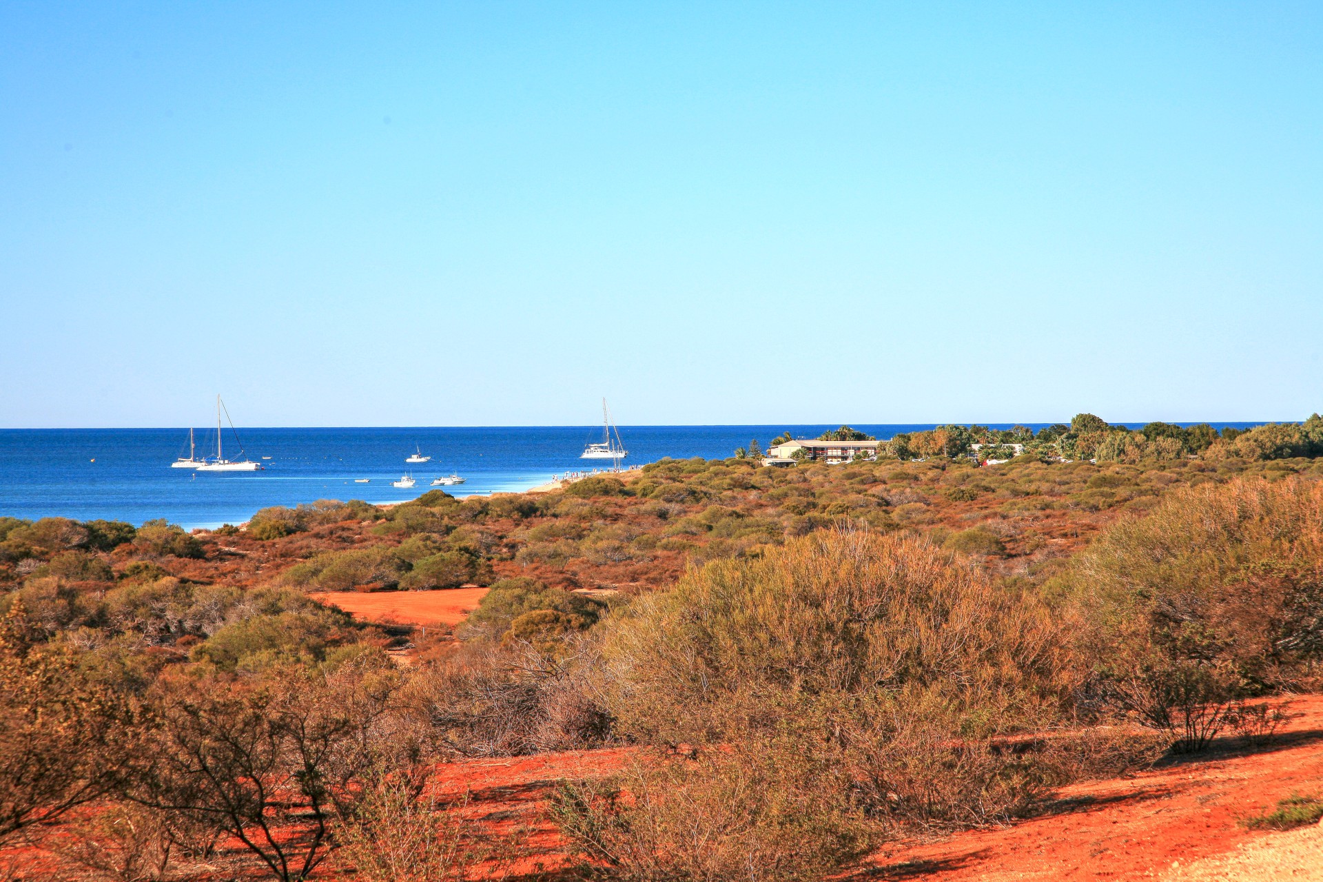 Shark Bay Image 3