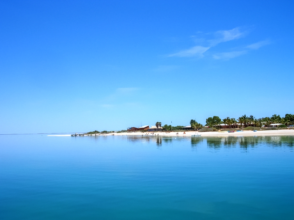 Shark Bay Image 2