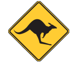 Shark Bay Skippycoin ICG